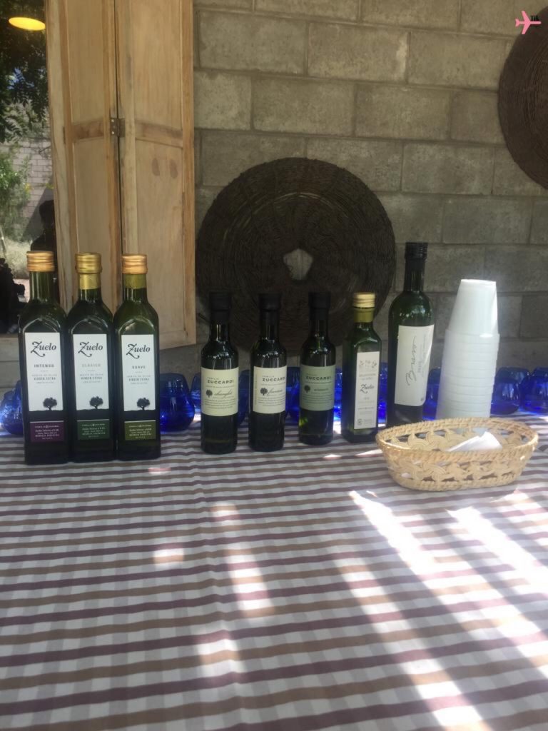 As vinícolas de Mendoza